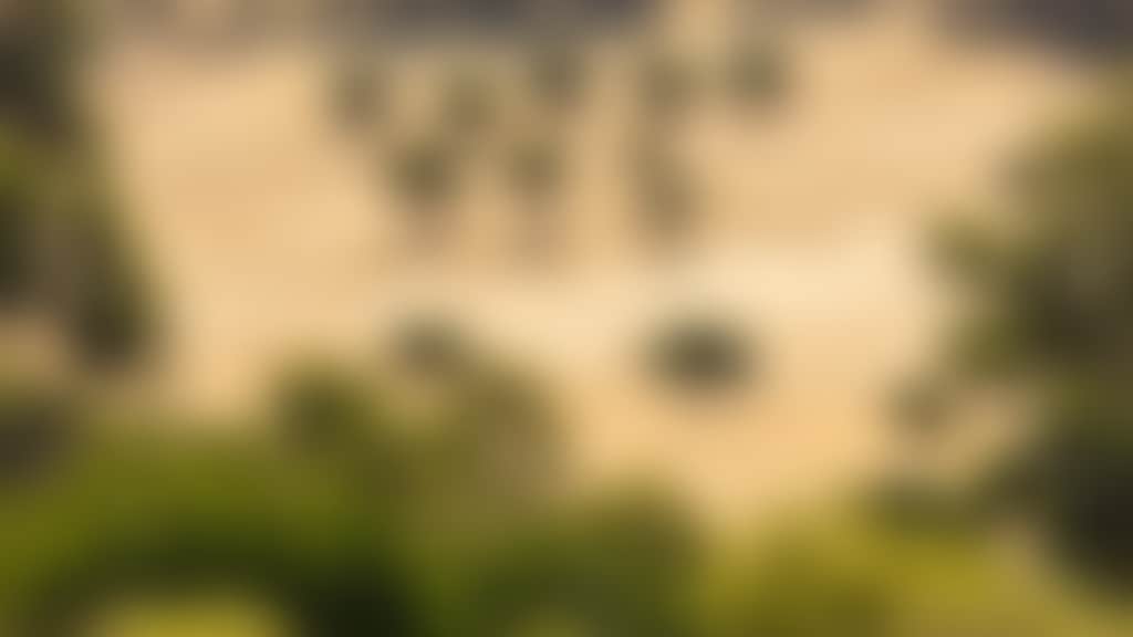 Gidgegannup 3 2320x3480