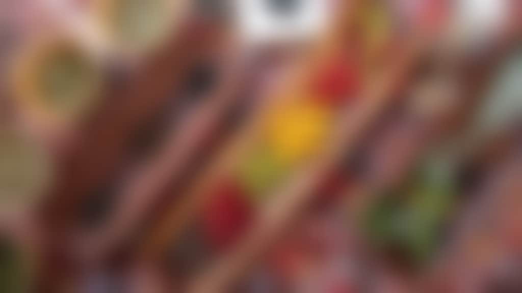 Bush Tucker Front Cover