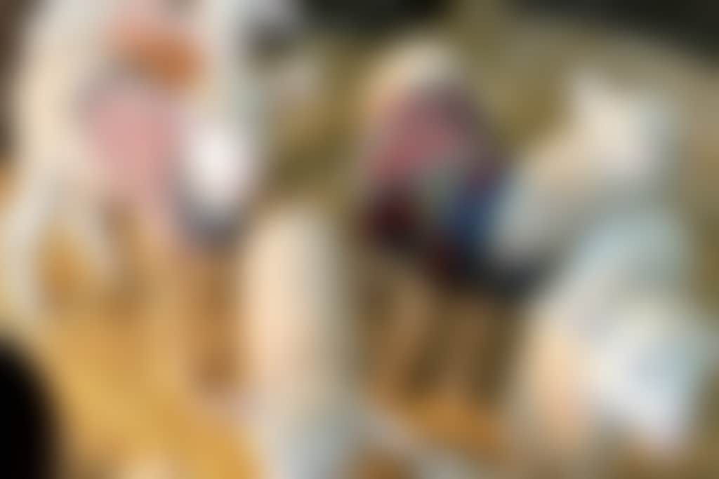 Sv cuddly animal farm lambs g