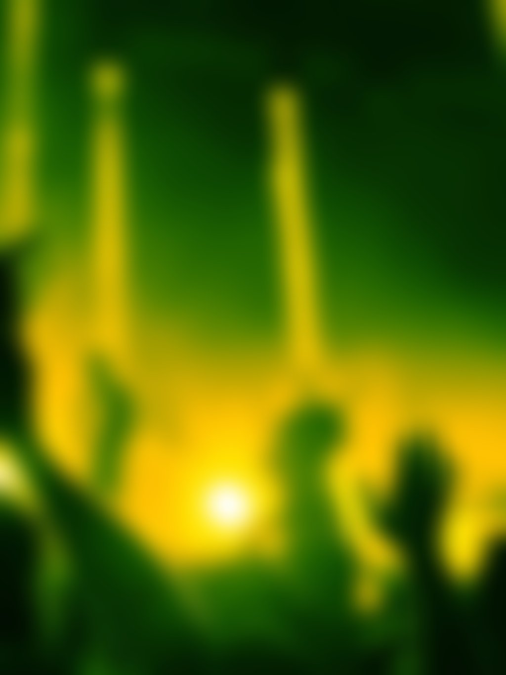 Live music crowd