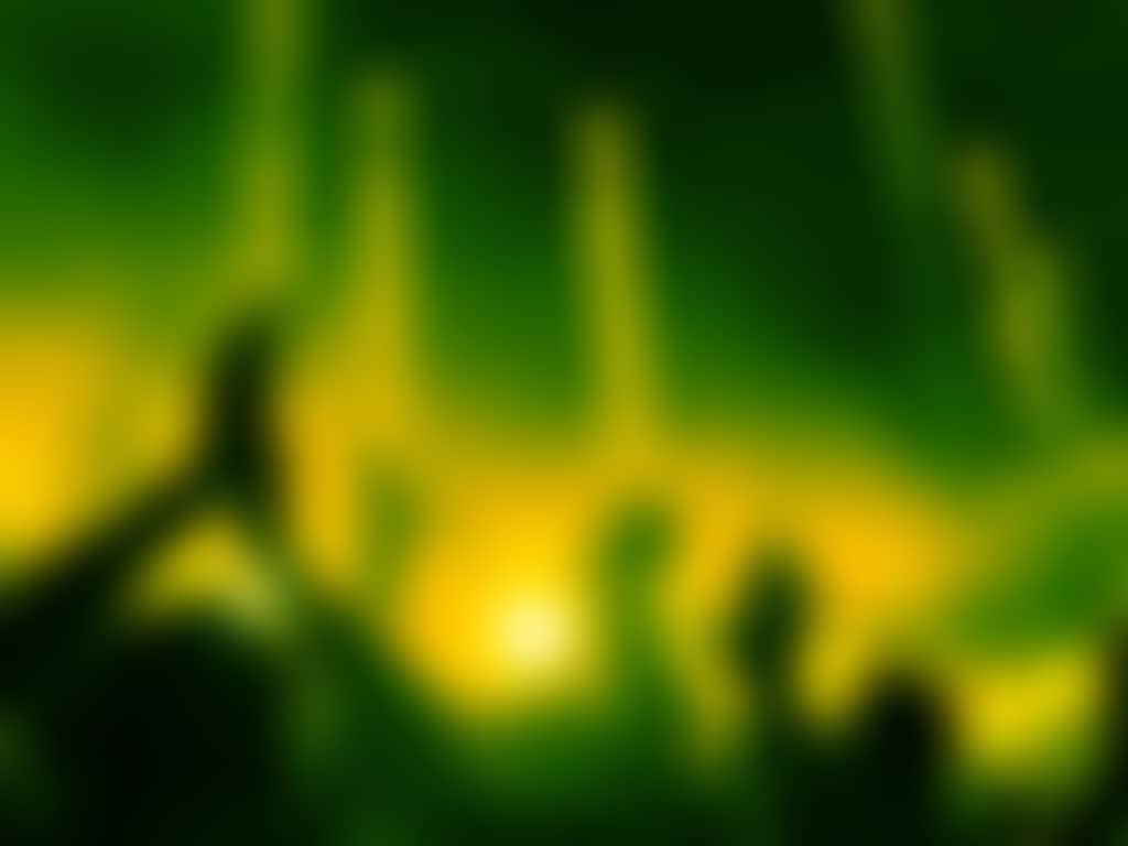 Live music crowd