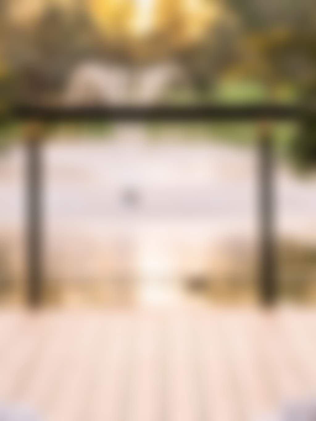 The mallard duck lake view