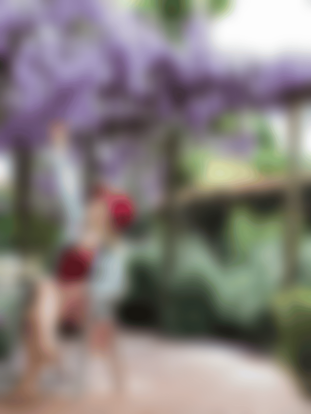 House of Honey dining by the wisteria