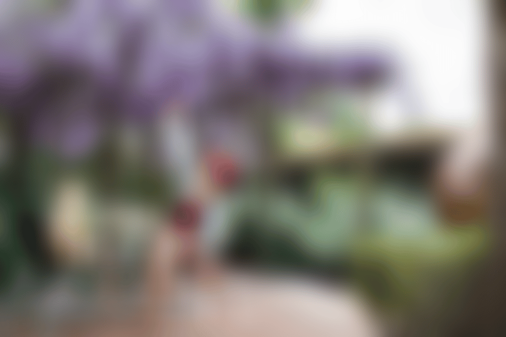 House of Honey dining by the wisteria