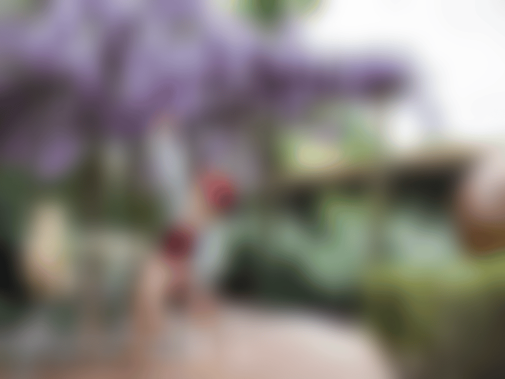 House of Honey dining by the wisteria