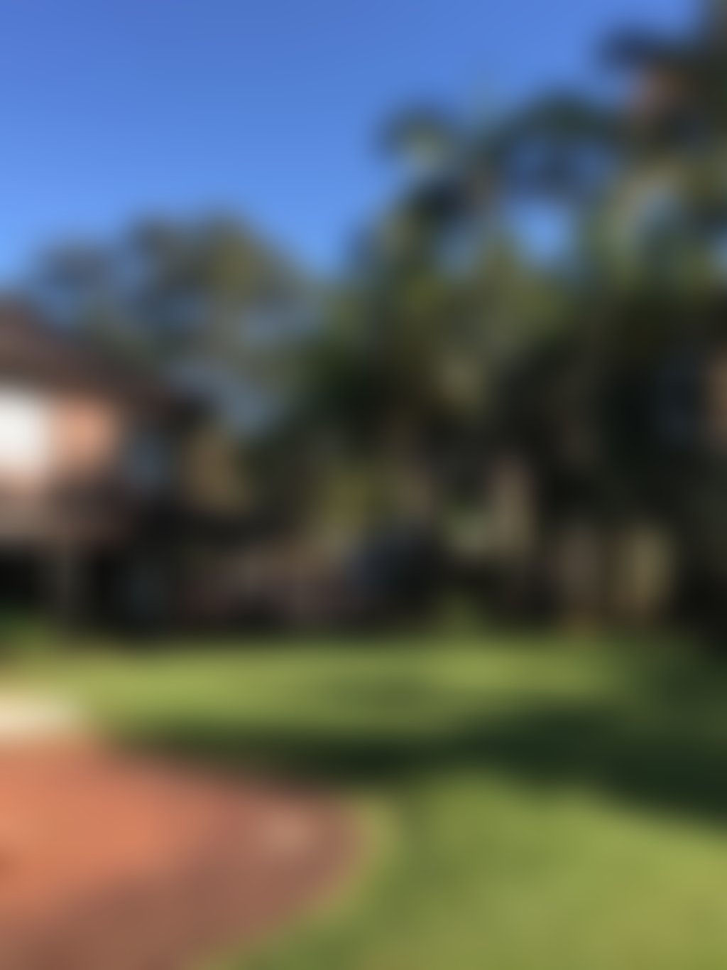 El Dorado house and yard