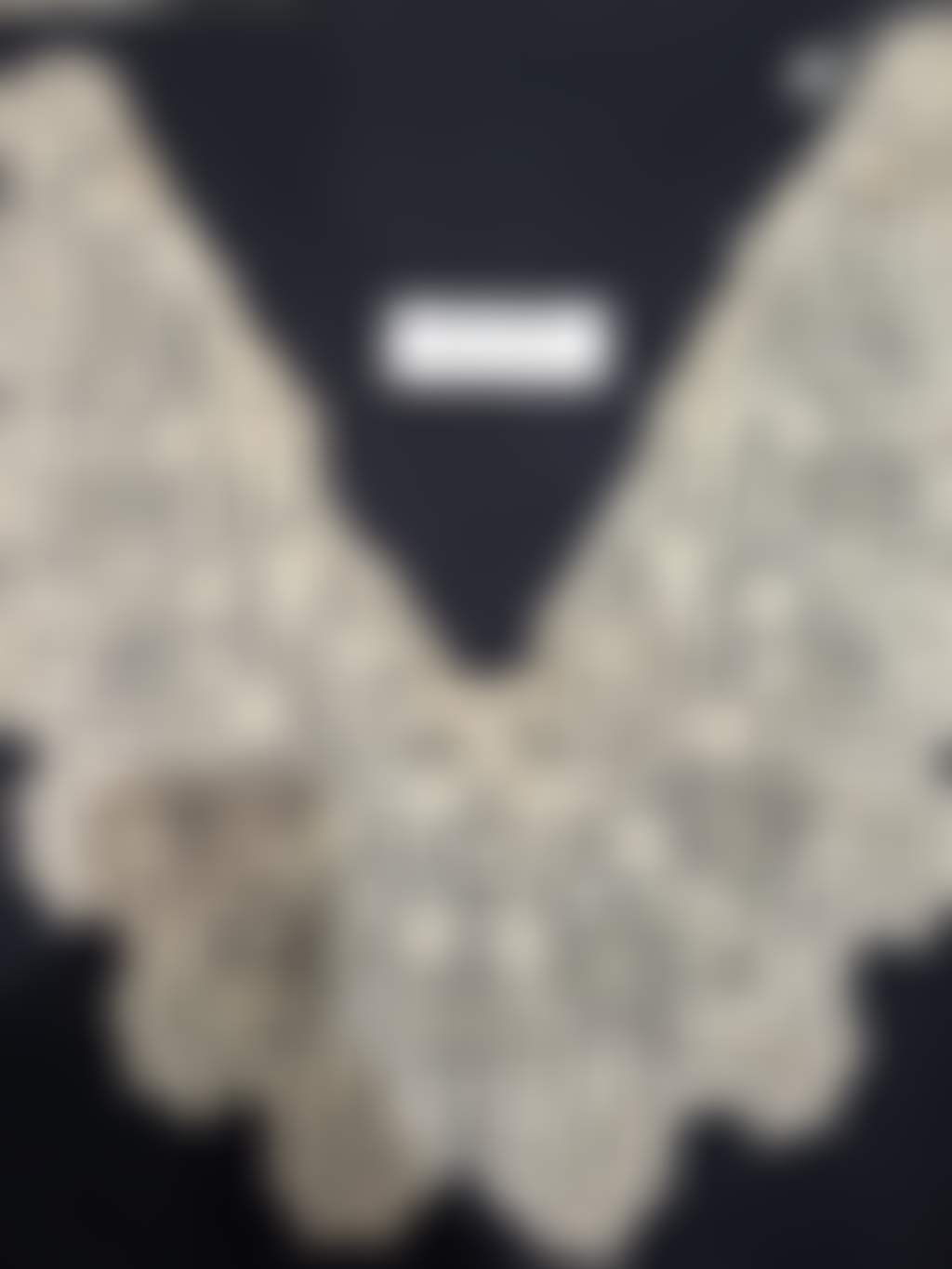 SGHS Threads of Time Lace Exhibition