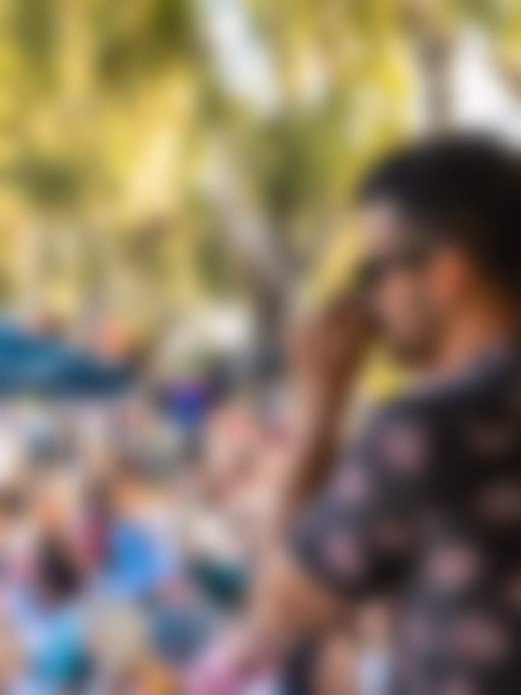 Singer and festival crowd