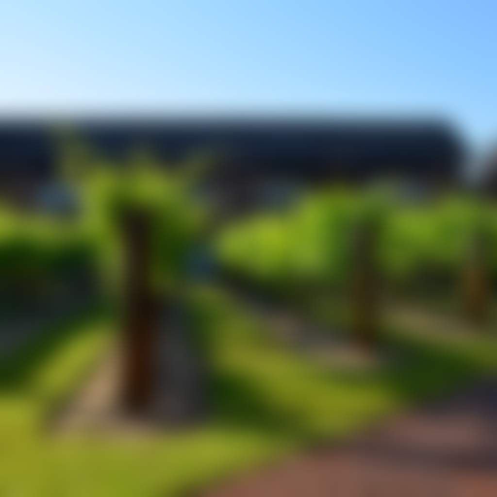 2023 Swan Valley Western Australia The Vines Resort exterior
