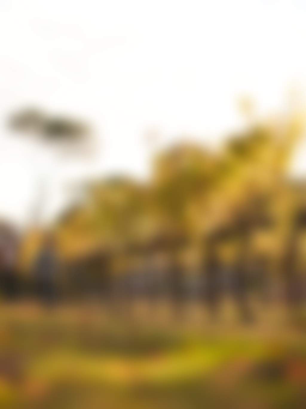 2026 07 28 Cityof Swan Swan Valley Tourism 074 web