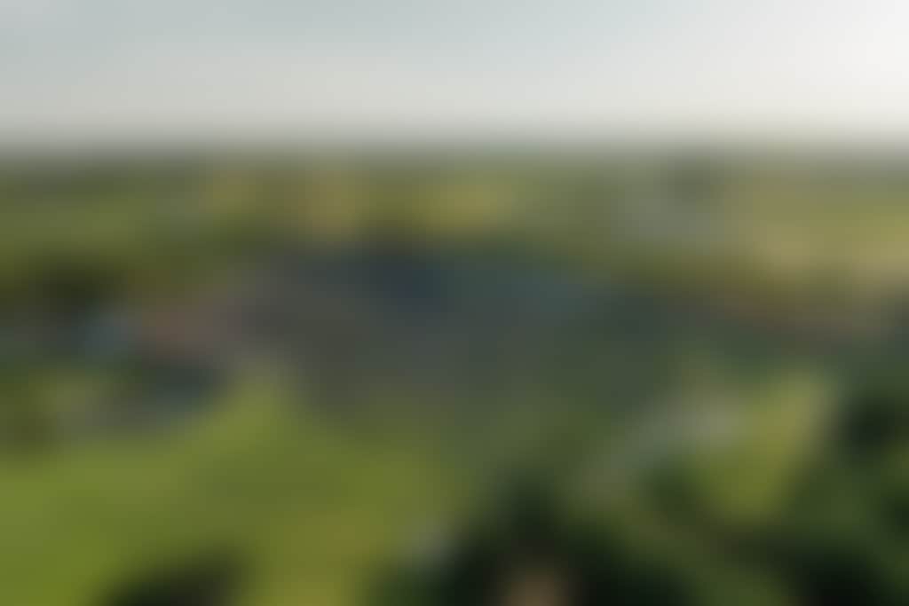 Sandalford concert patrons on grounds