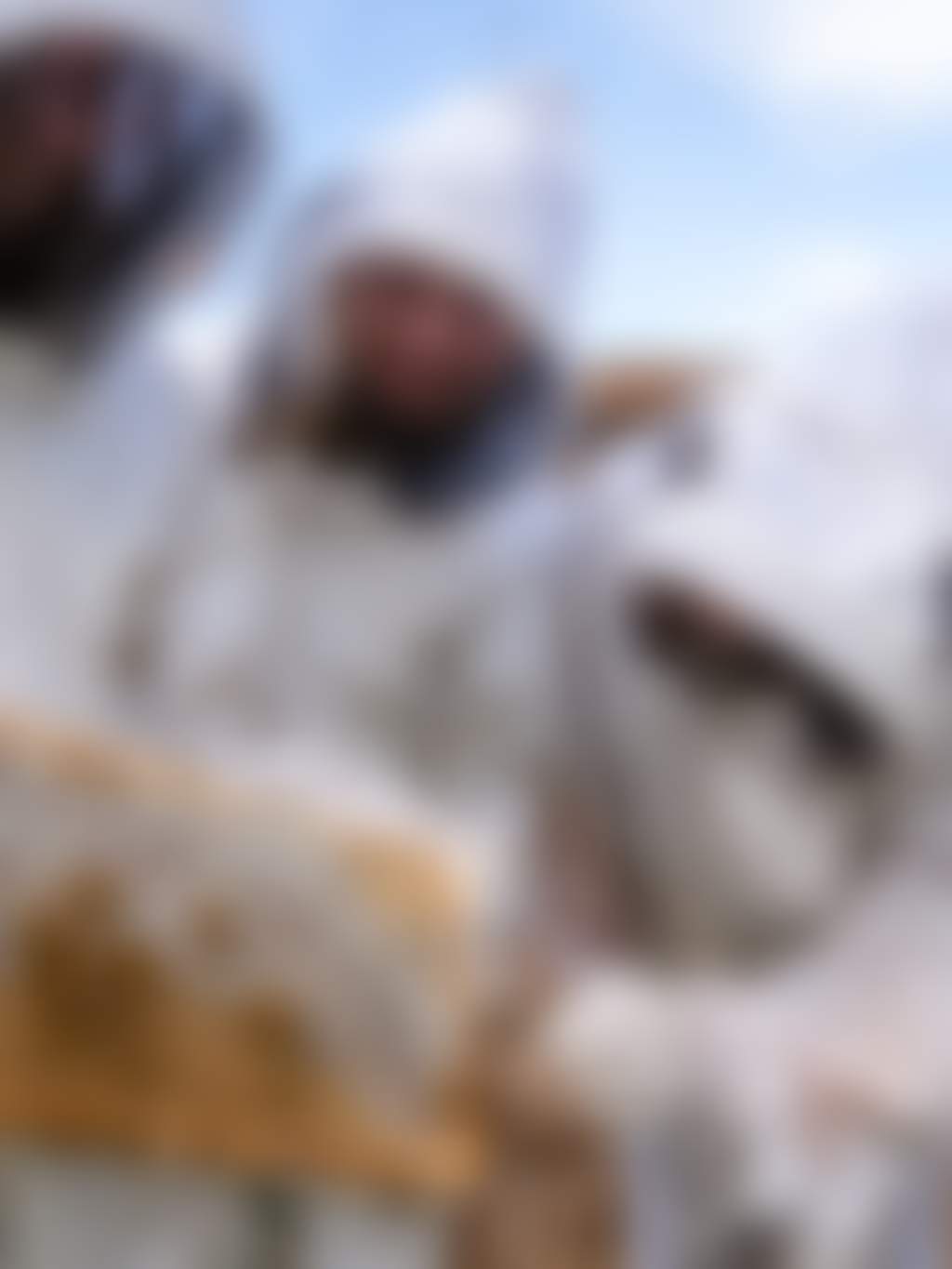 Swan Valley Beekeeping Experience