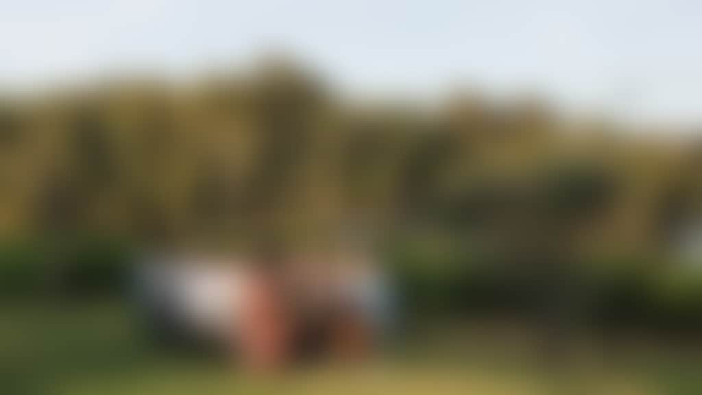 City of Swan Summer Edgecombe Brothers web Jarrad Seng 01 12 23 70