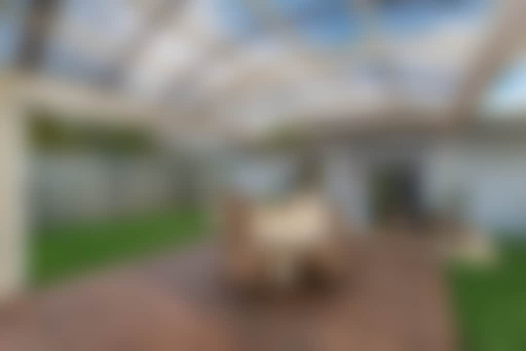 Willow Cottage patio