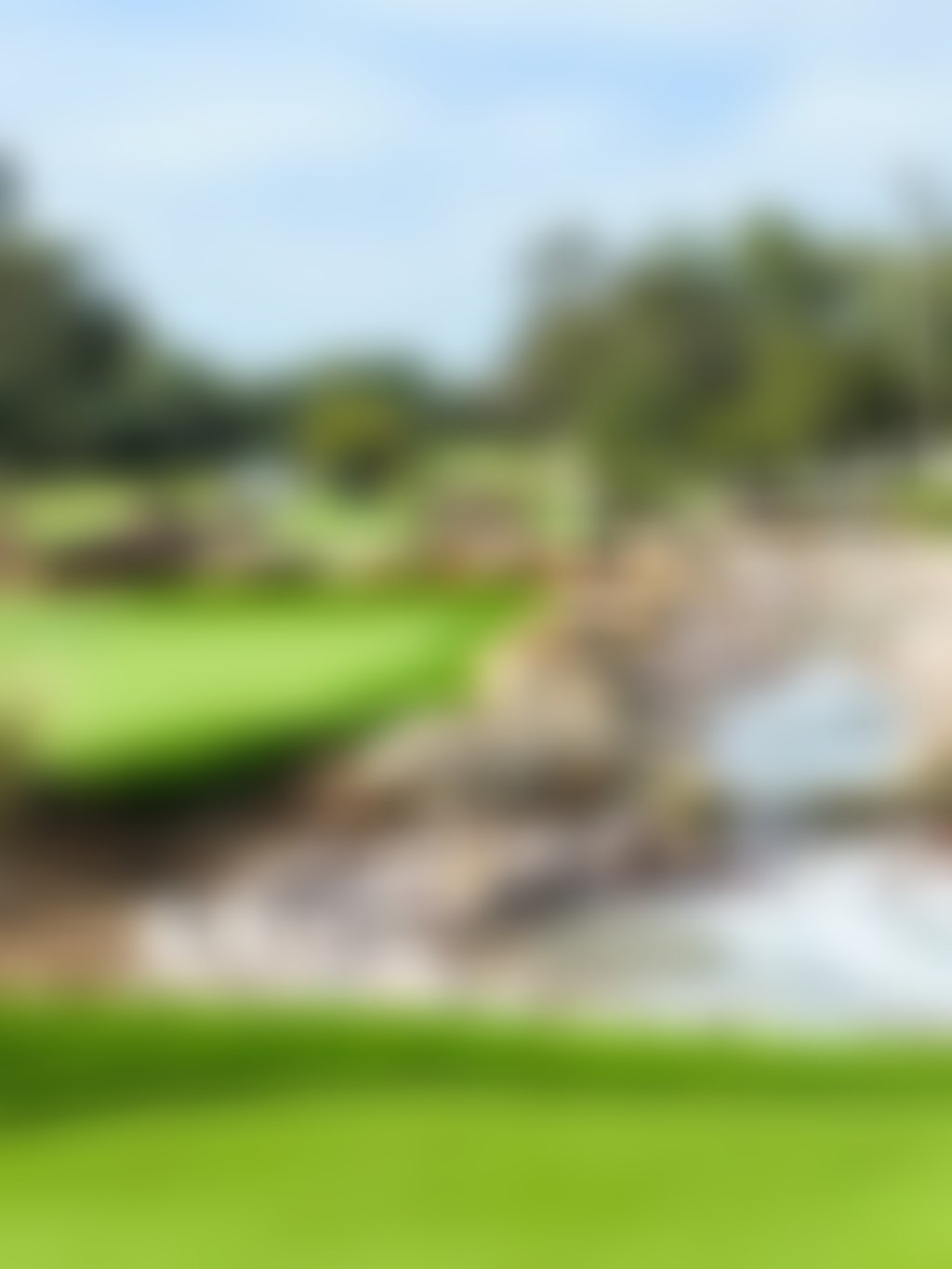 Vines mini golf