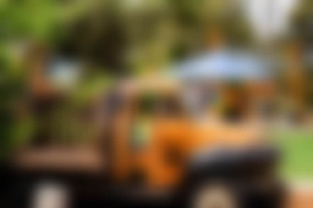 Bailey brewing co kids play area