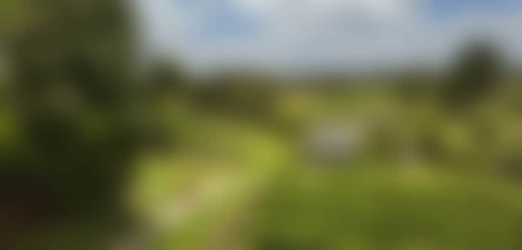 2022 Swan Valley Sittella Winery 2