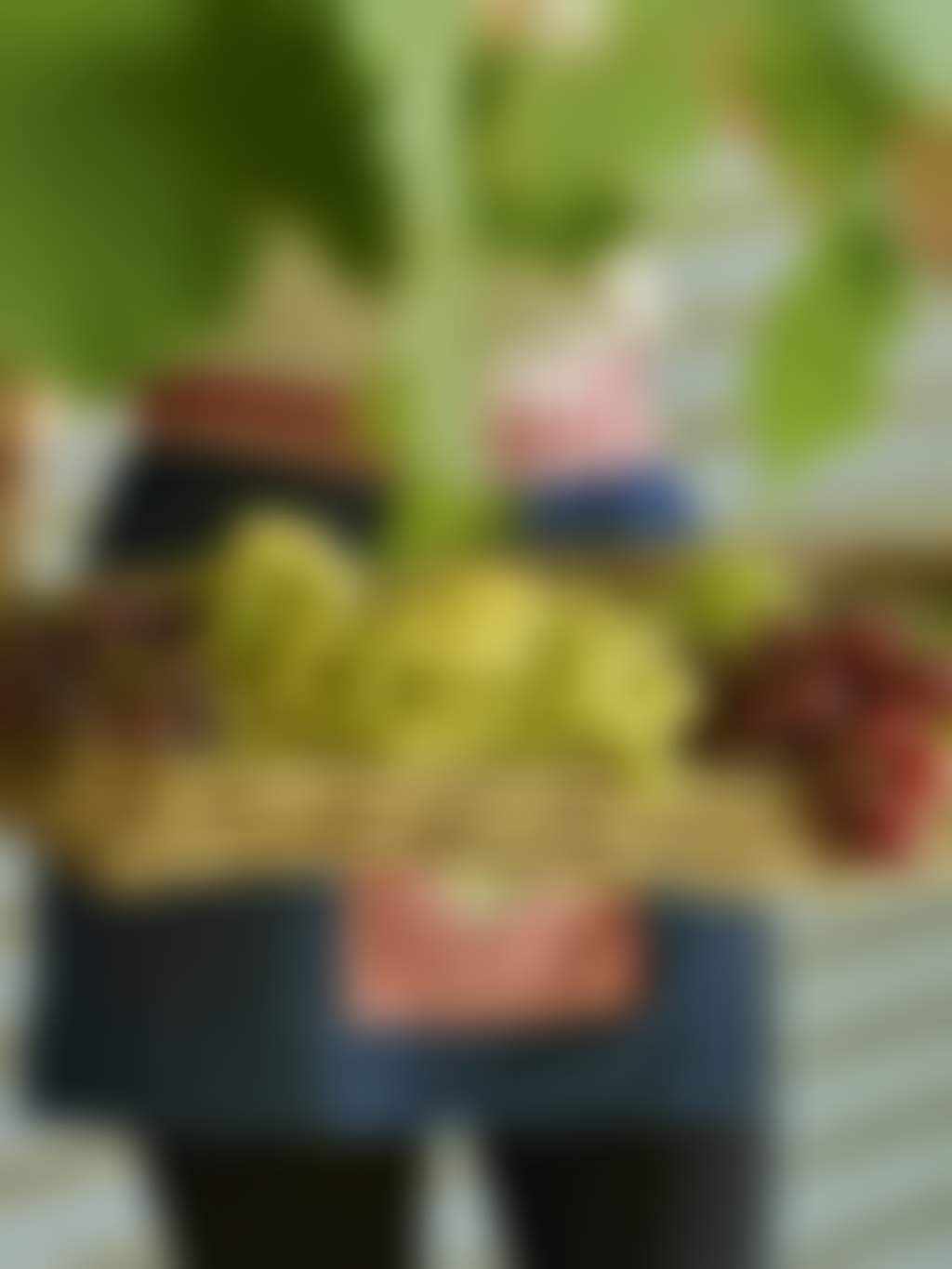 Lady holding basket of grapes 2776x2776