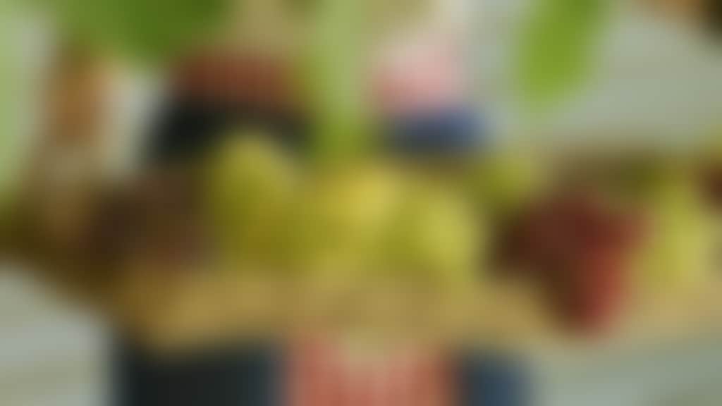 Lady holding basket of grapes 2776x2776