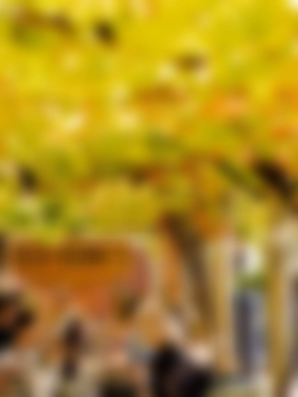 Old Youngs Kitchen under the vines