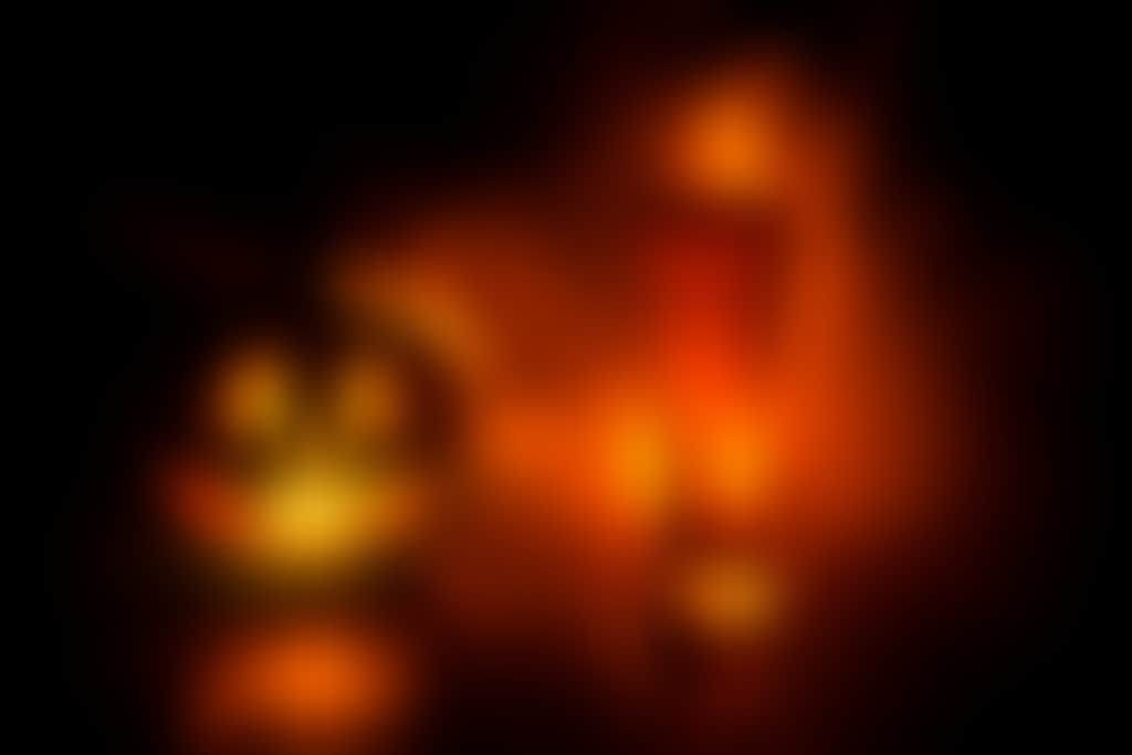 Halloween pumpkin with beer