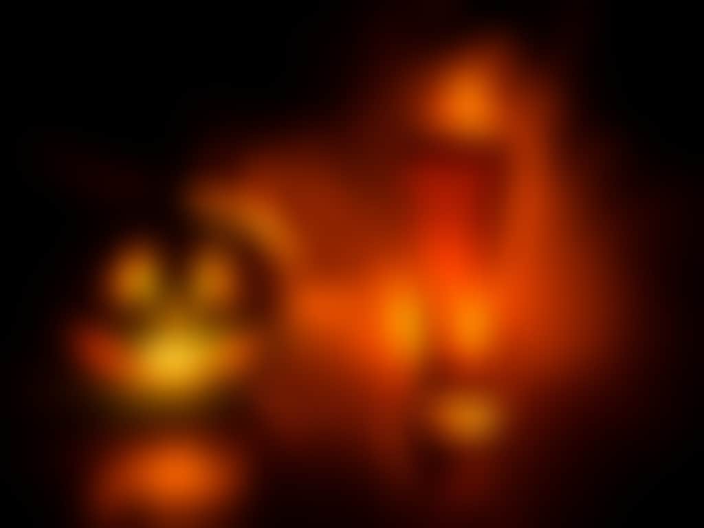 Halloween pumpkin with beer