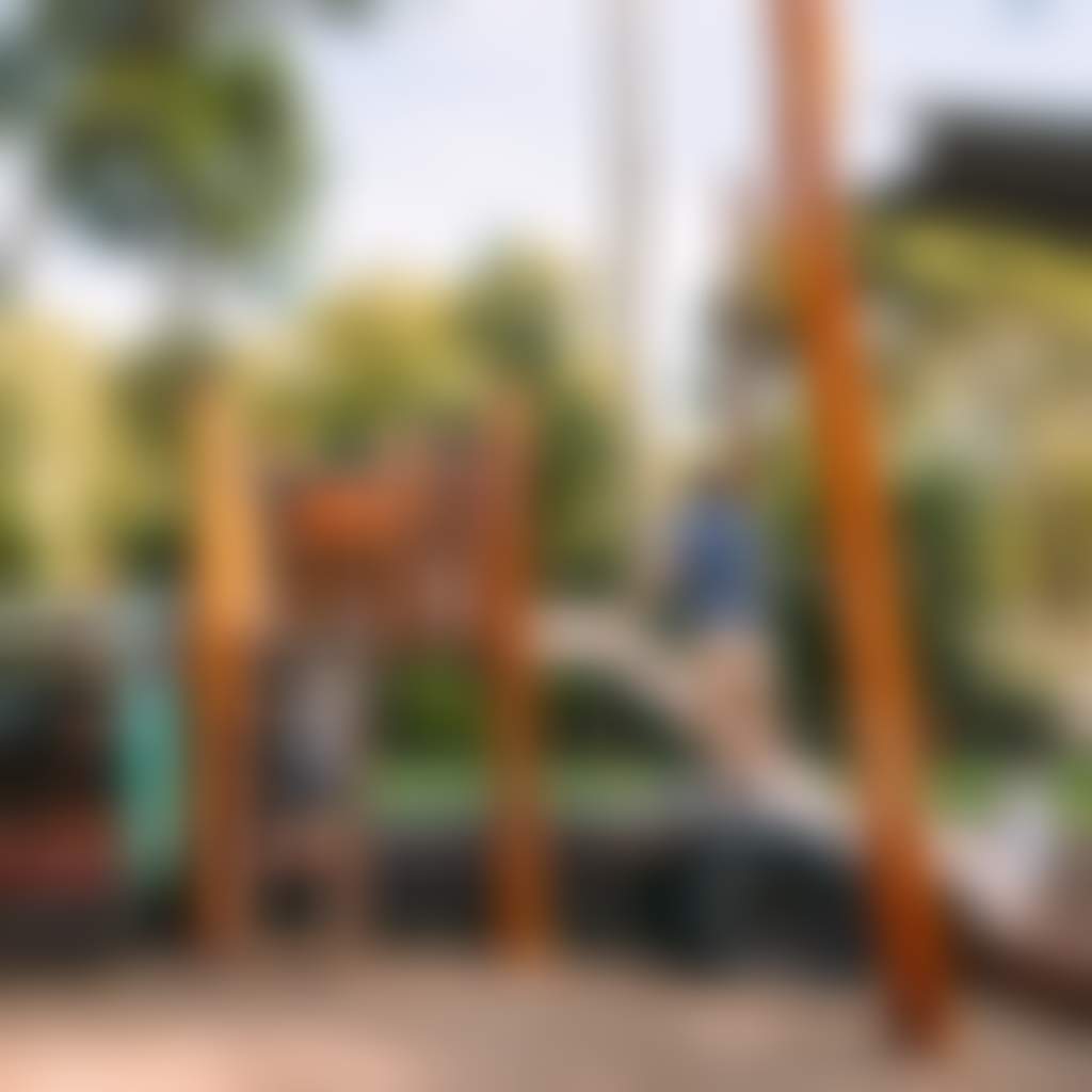 Brewing Brewing Dad and kids on playground Jarrad Seng