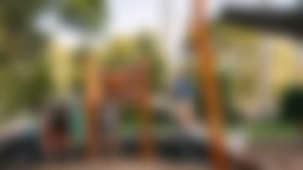 Brewing Brewing Dad and kids on playground Jarrad Seng