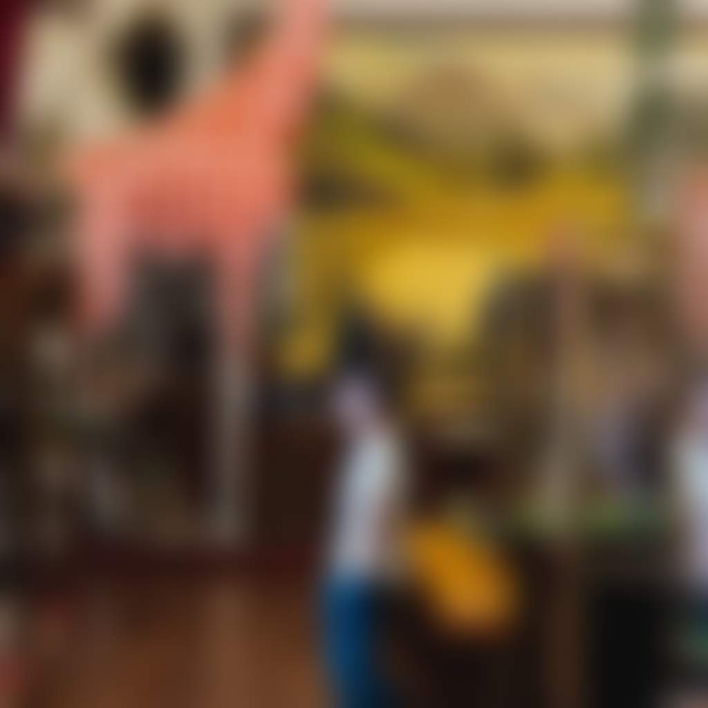 Museum of natural history and academy of taxidermy city of swan 2022 2