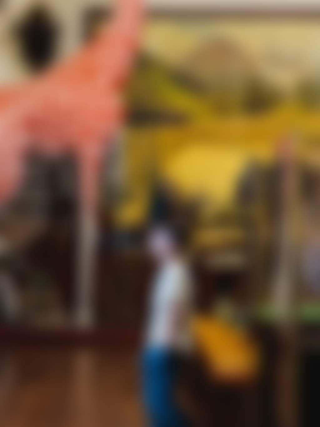 Museum of natural history and academy of taxidermy city of swan 2022 2