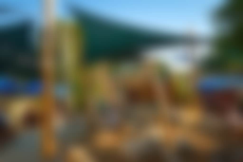 Stirling Arms Percys Playground