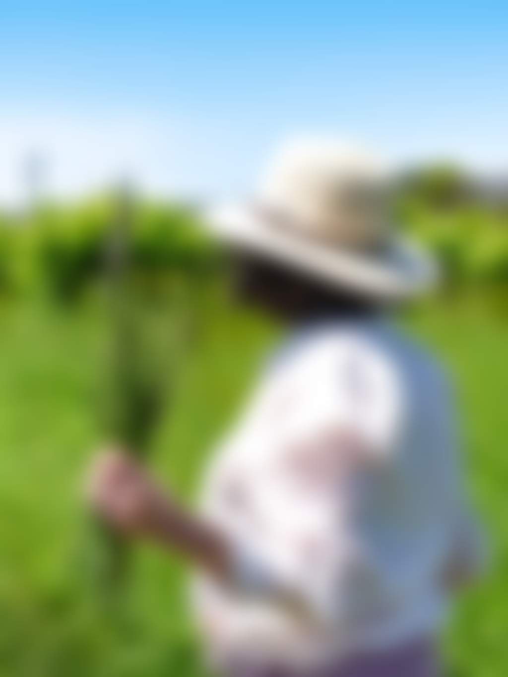 Edgecombe Winery