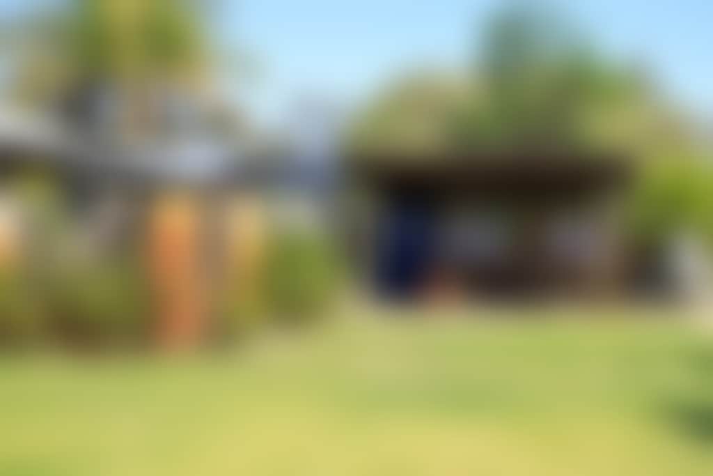 Great Northern Distillery rum garden shaded area