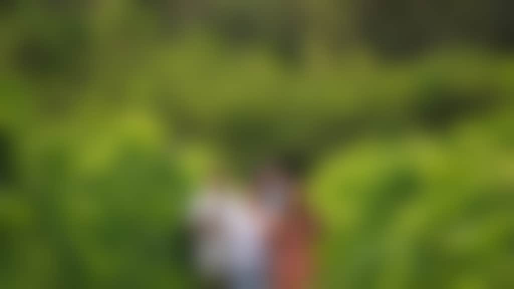 City of Swan Summer Edgecombe Brothers web Jarrad Seng 01 12 23 25