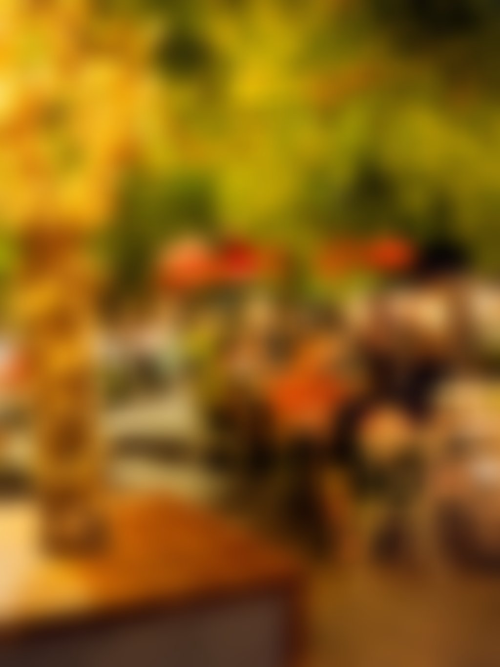 Stirling Arms beer garden