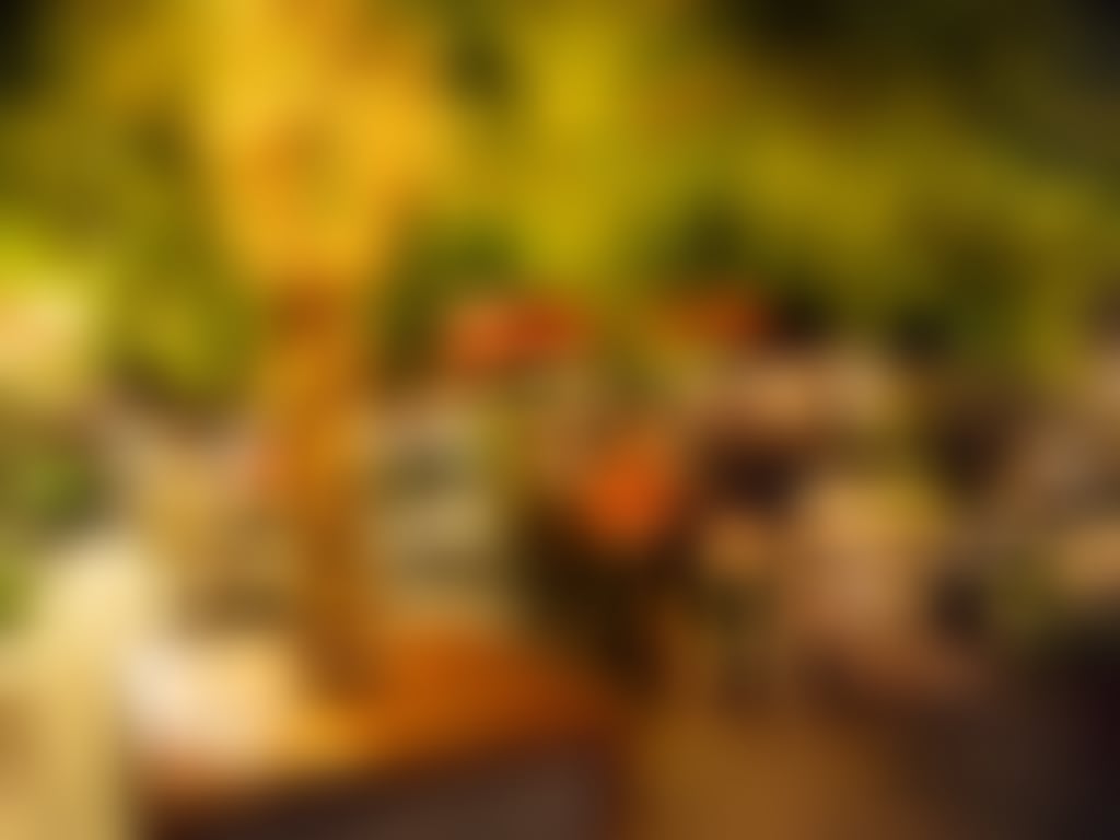 Stirling Arms beer garden