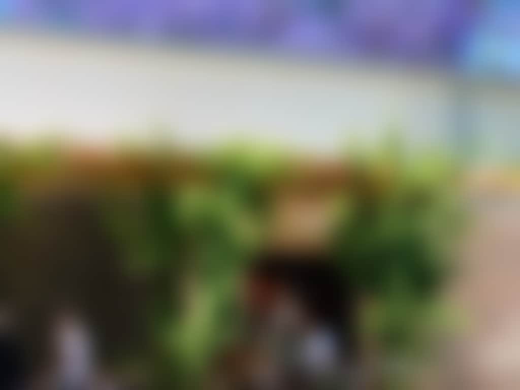 The naked fox al fresco view