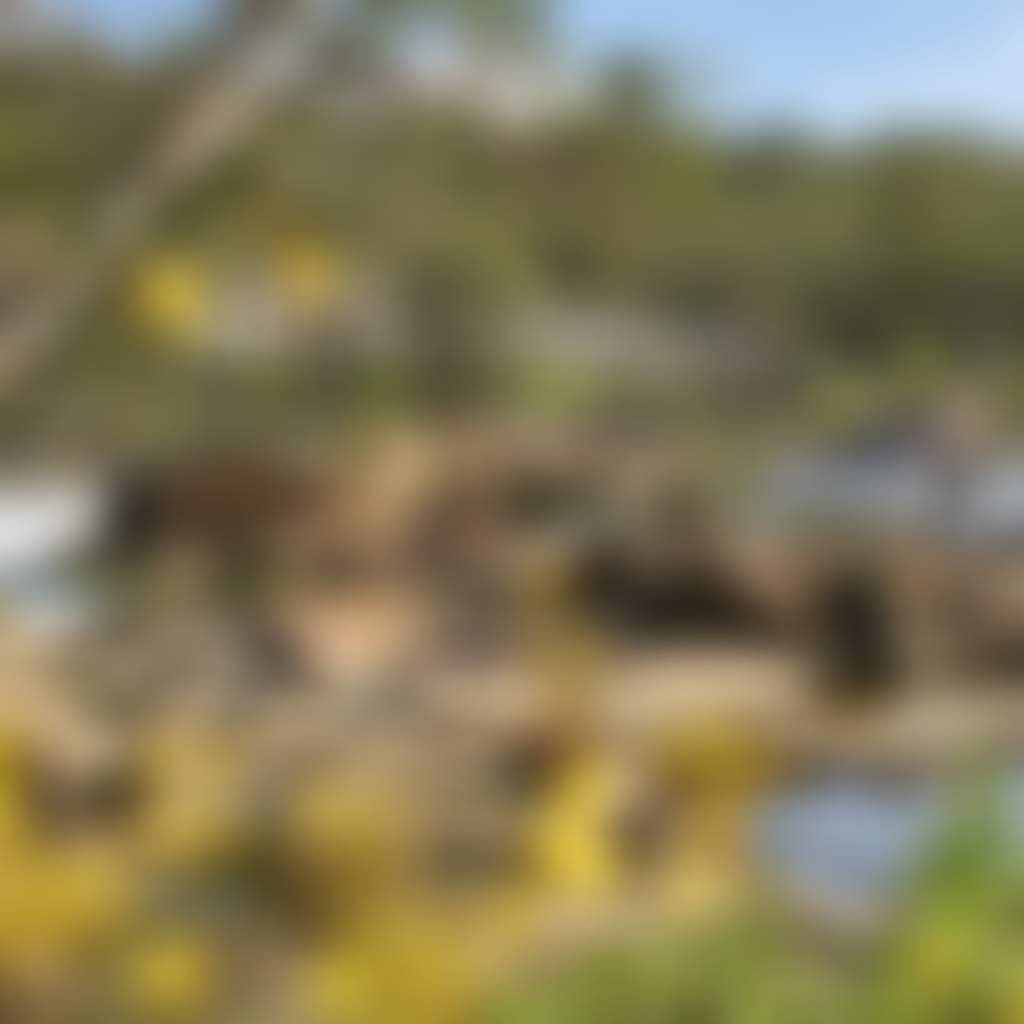 55 20200915 wines of wa swan valley bells rapids 2784x1856