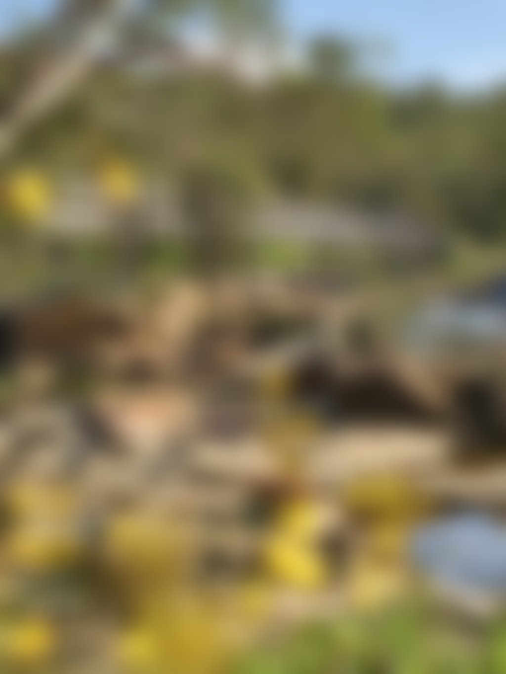 55 20200915 wines of wa swan valley bells rapids 2784x1856