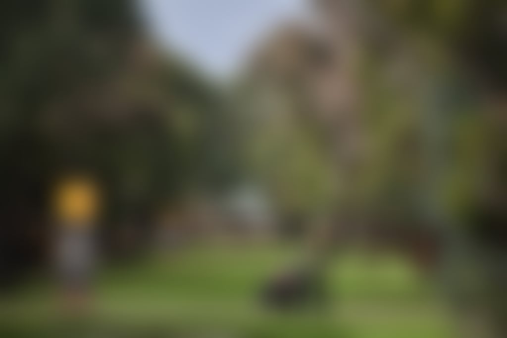 Whiteman Park recreation space