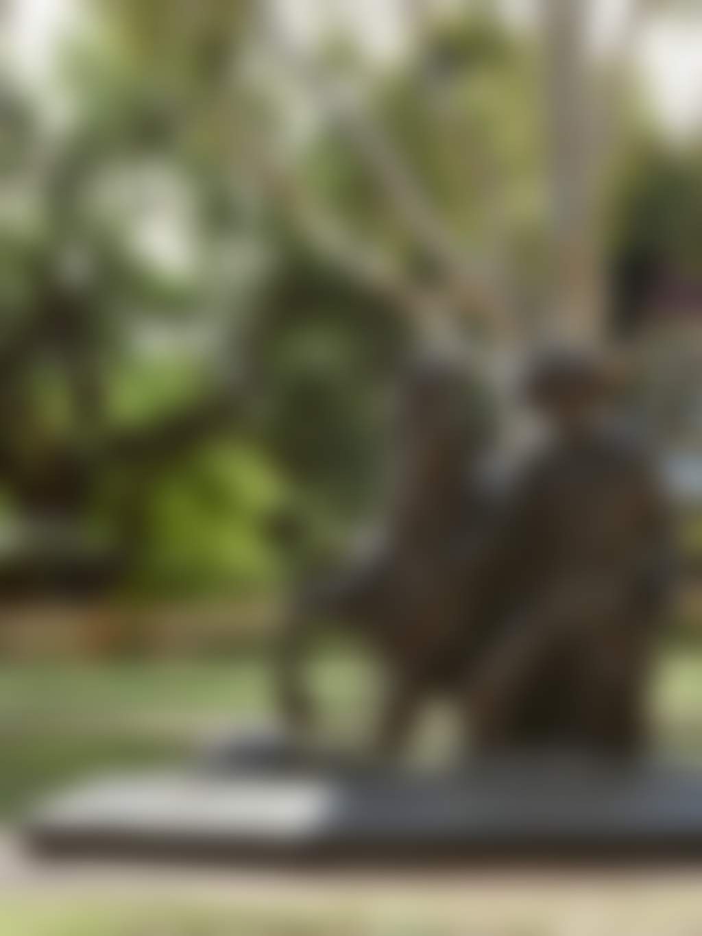 10th Light Horse Statue Stirling Square