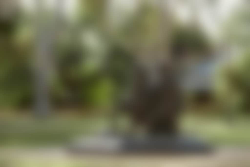 10th Light Horse Statue Stirling Square