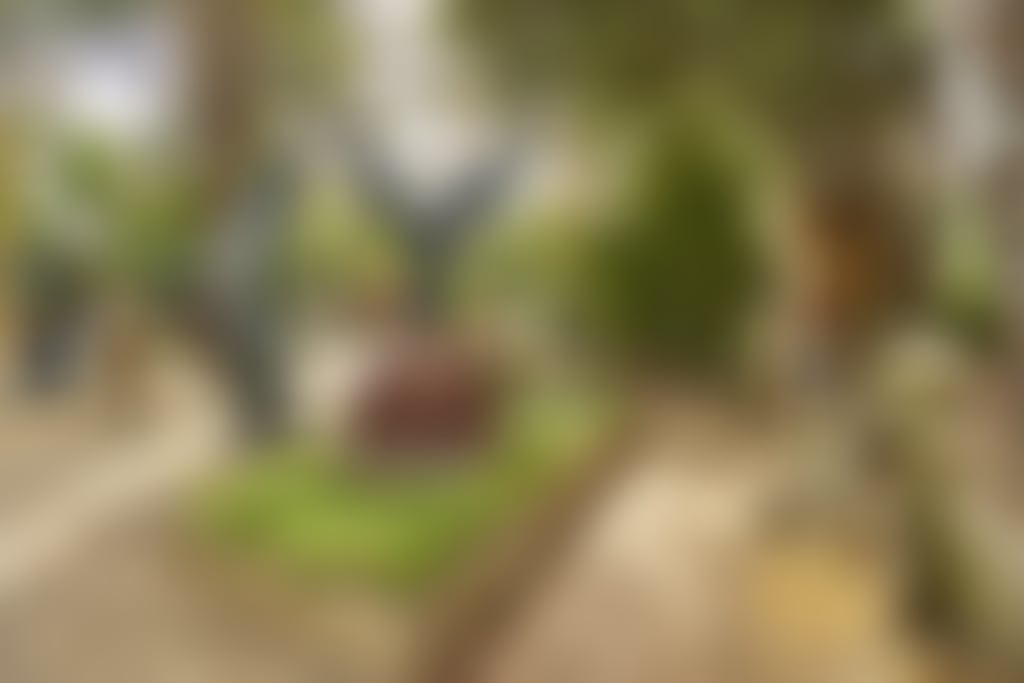 Gomboc Gallery 2251x1498