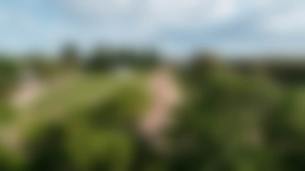 City of Swan Summer Nikola Estate web Jarrad Seng 01 12 23 220 12 23 4