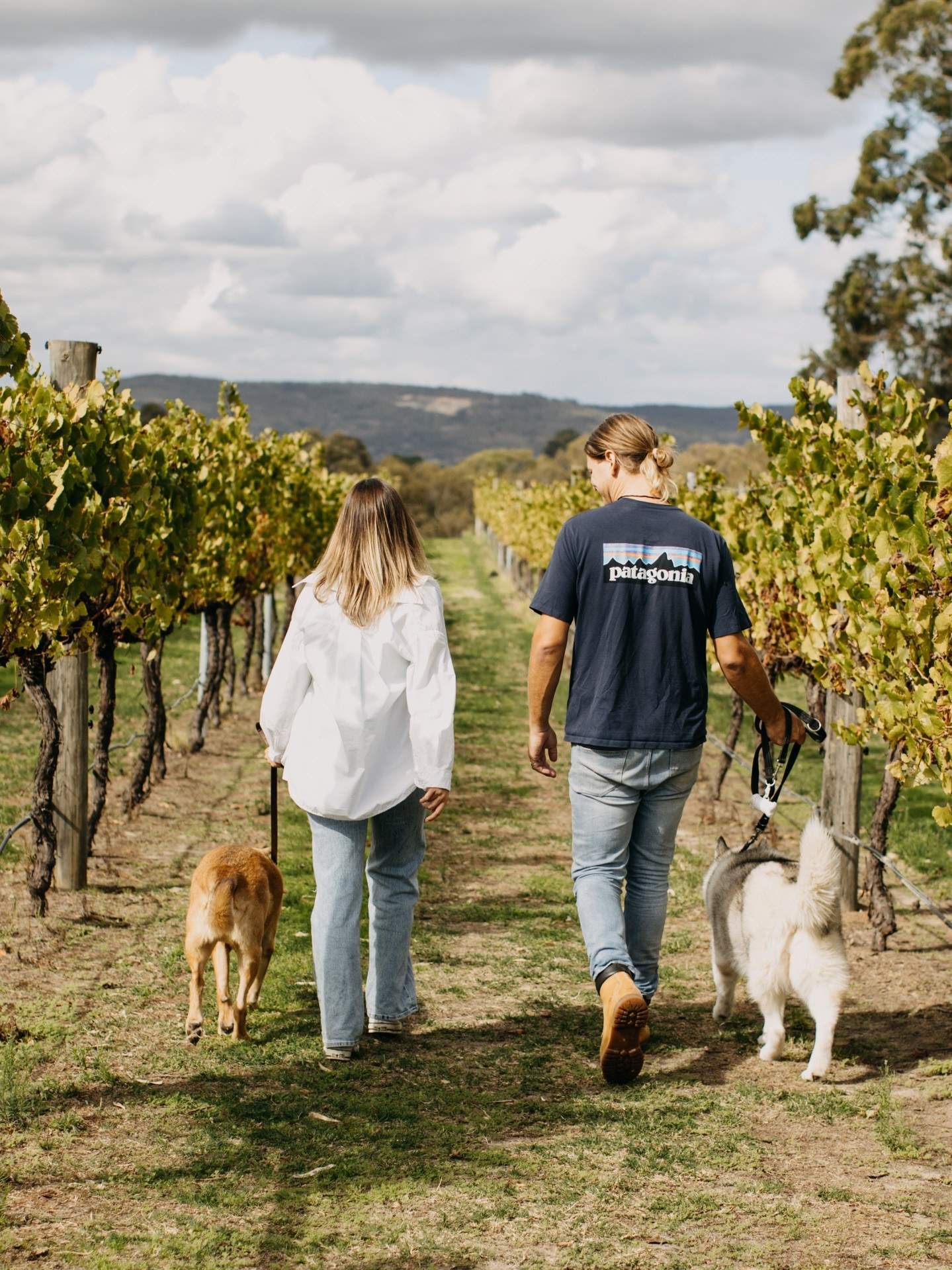 theswanvalley