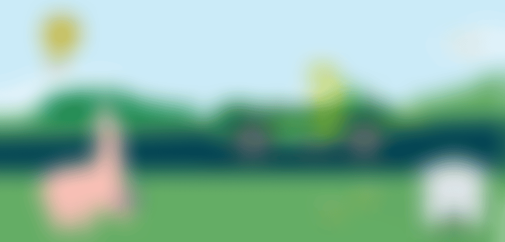 Amazing Valley Chase 1