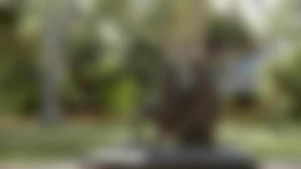 10th Light Horse Statue Stirling Square