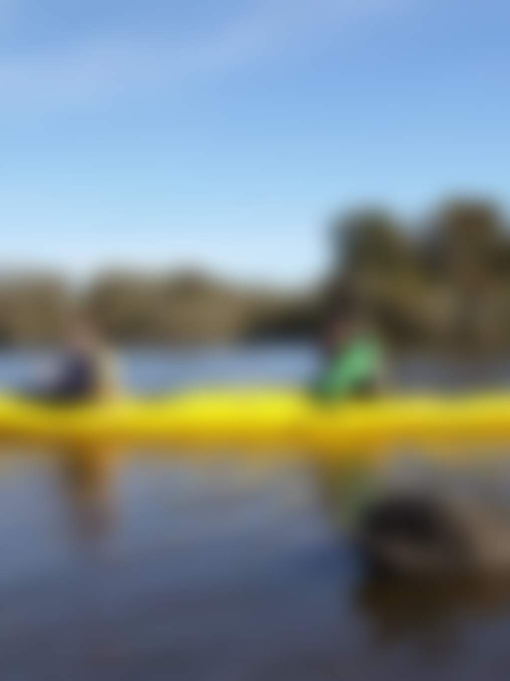 Rivergods Kayaking Tours on the river with swan