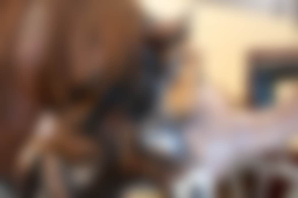 Revolutions transport museum