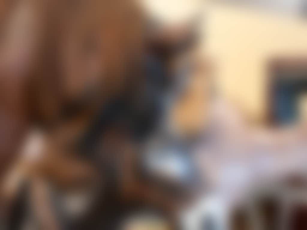 Revolutions transport museum